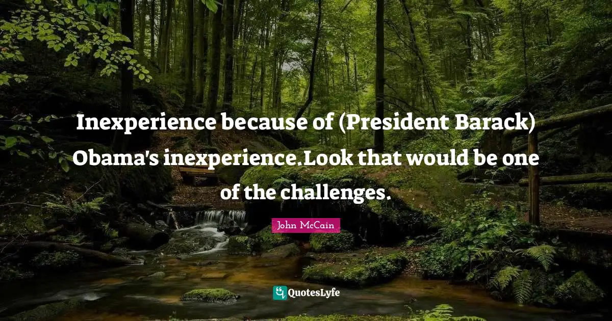Inexperience because of (President Barack) Obama's inexperience.Look that would be one of the challenges.