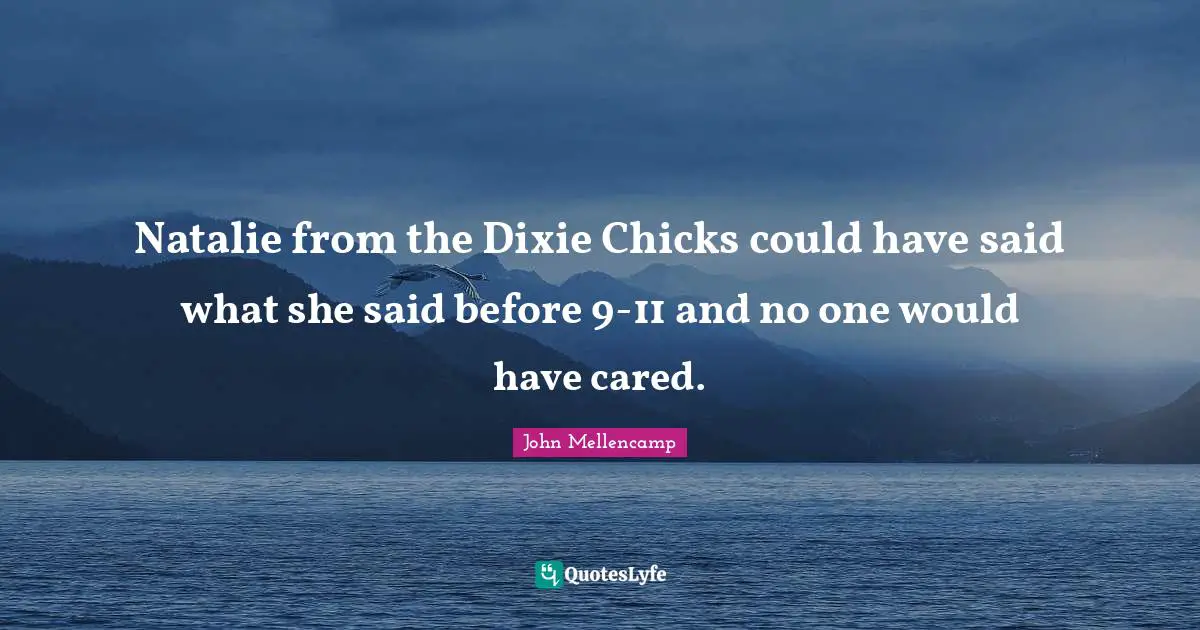 Natalie from the Dixie Chicks could have said what she said before 9-11 and no one would have cared.