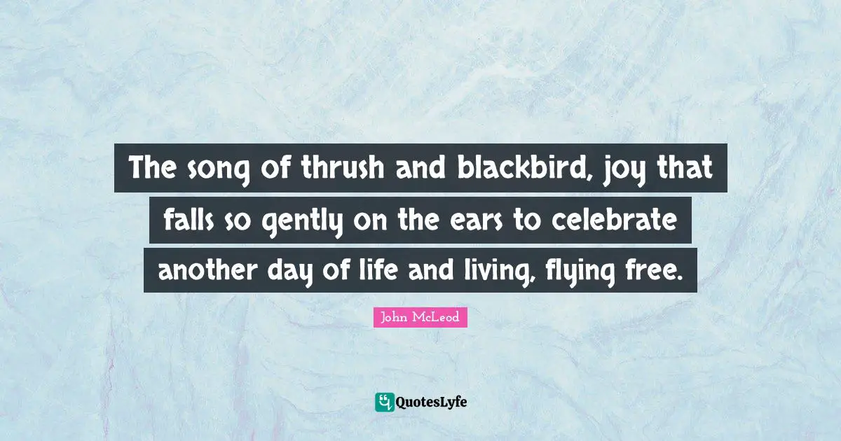 Life And Living Quotes: "The song of thrush and blackbird, joy that falls so gently on the ears to celebrate another day of life and living, flying free."