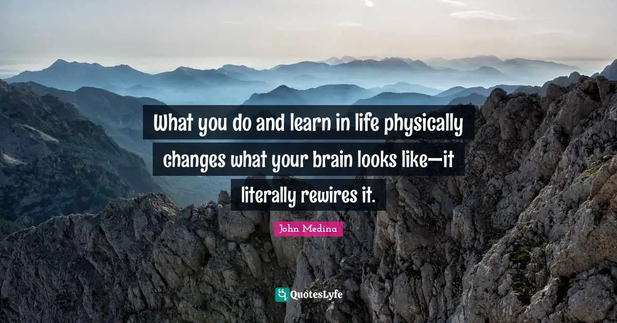 What you do and learn in life physically changes what your brain looks like—it literally rewires it.