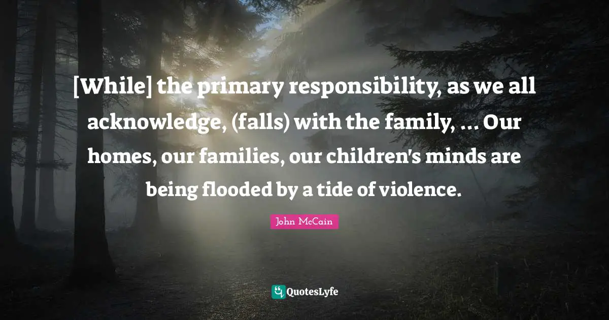 [While] the primary responsibility, as we all acknowledge, (falls) with the family, ... Our homes, our families, our children's minds are being flooded by a tide of violence.