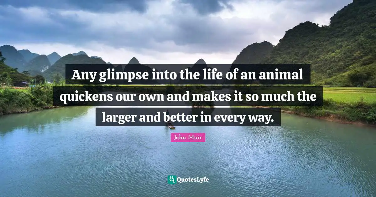 Any glimpse into the life of an animal quickens our own and makes it so much the larger and better in every way.