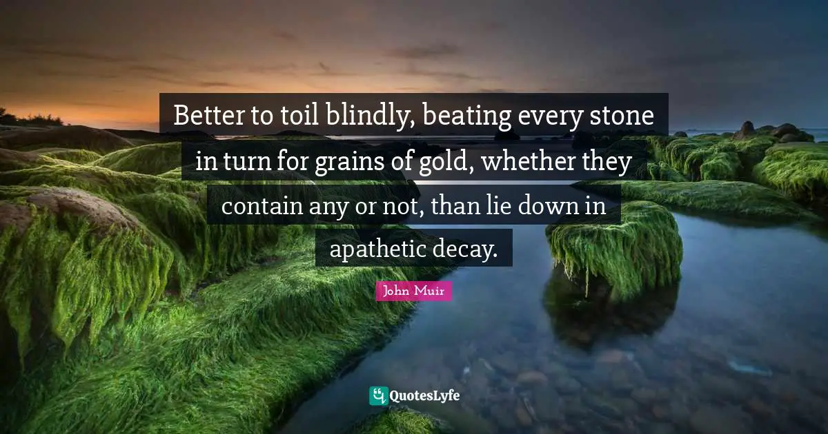 Better to toil blindly, beating every stone in turn for grains of gold, whether they contain any or not, than lie down in apathetic decay.