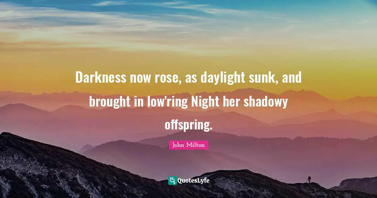 Darkness now rose, as daylight sunk, and brought in low'ring Night her shadowy offspring.