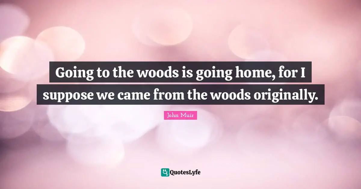 Going to the woods is going home, for I suppose we came from the woods originally.