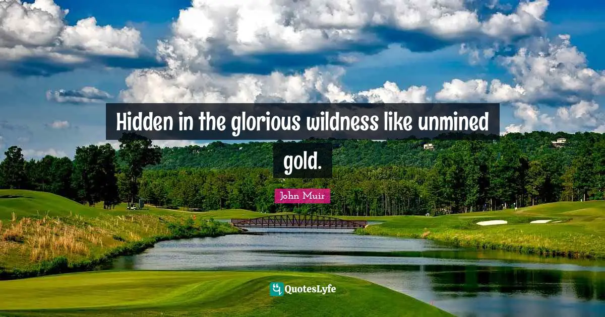 Hidden in the glorious wildness like unmined gold.
