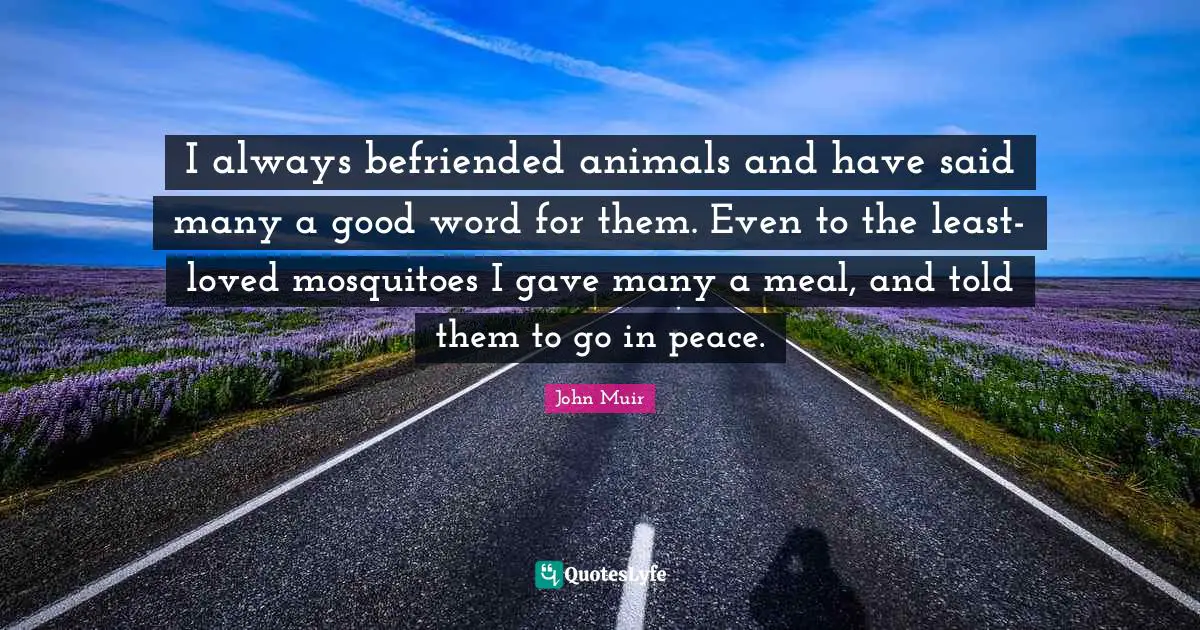 Mosquitoes Quotes: "I always befriended animals and have said many a good word for them. Even to the least-loved mosquitoes I gave many a meal, and told them to go in peace."