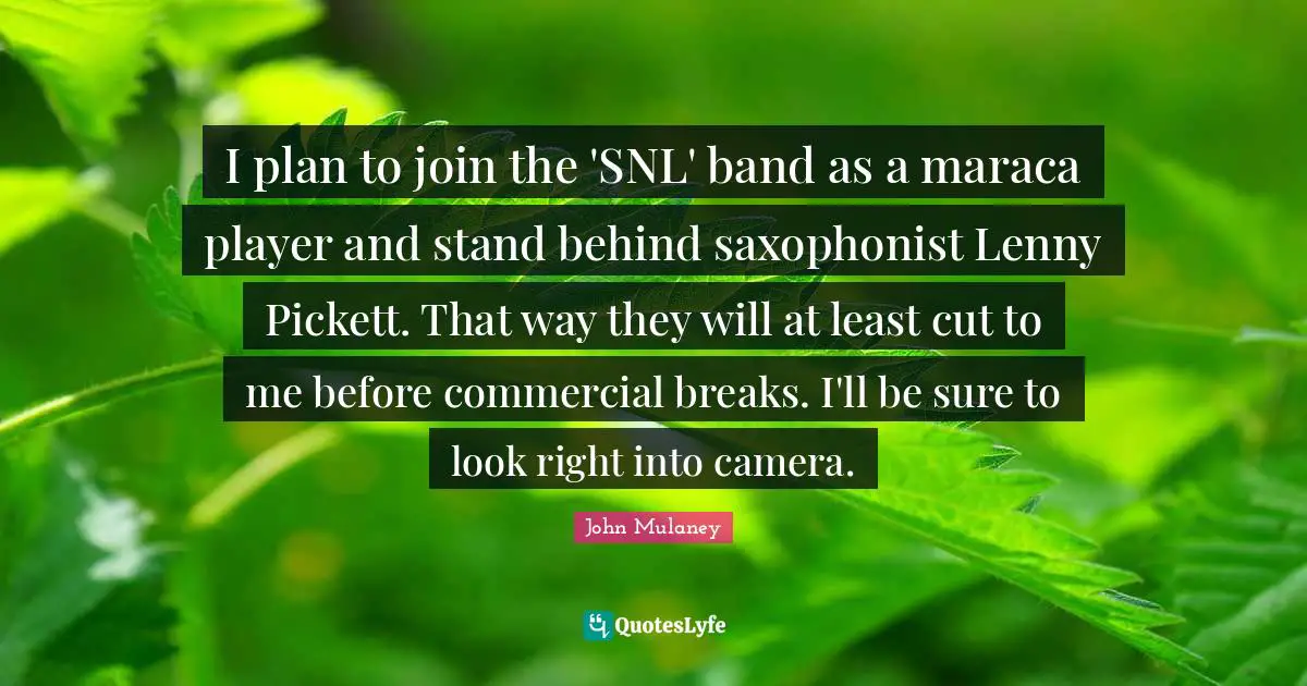 I plan to join the 'SNL' band as a maraca player and stand behind saxophonist Lenny Pickett. That way they will at least cut to me before commercial breaks. I'll be sure to look right into camera.