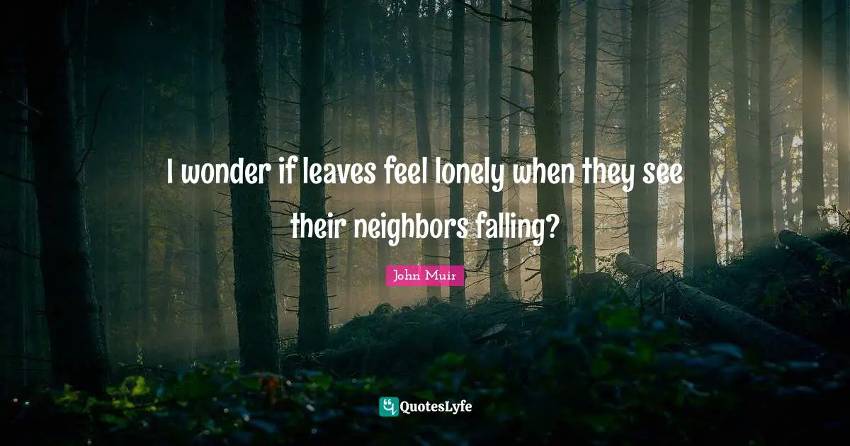 I wonder if leaves feel lonely when they see their neighbors falling?