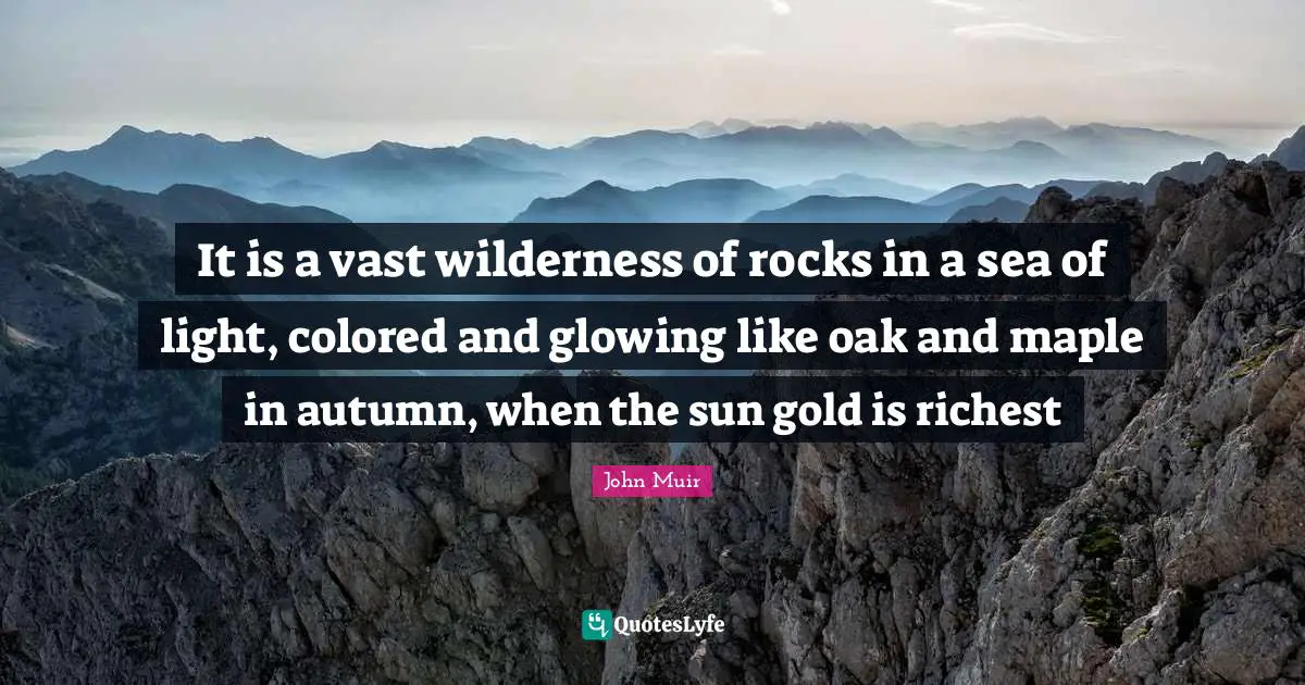 It is a vast wilderness of rocks in a sea of light, colored and glowing like oak and maple in autumn, when the sun gold is richest
