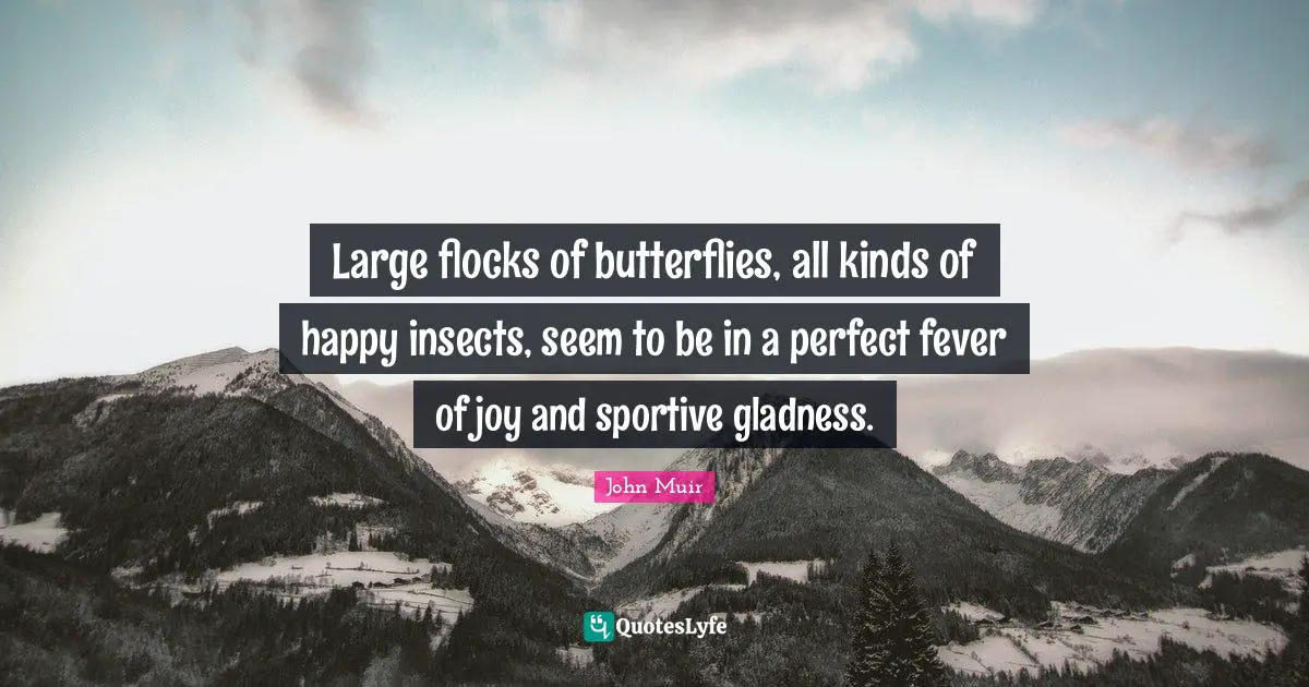 Large flocks of butterflies, all kinds of happy insects, seem to be in a perfect fever of joy and sportive gladness.
