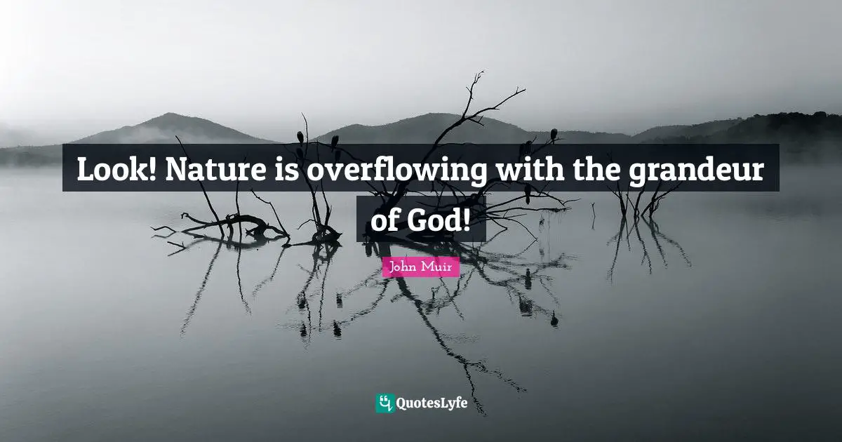Look! Nature is overflowing with the grandeur of God!