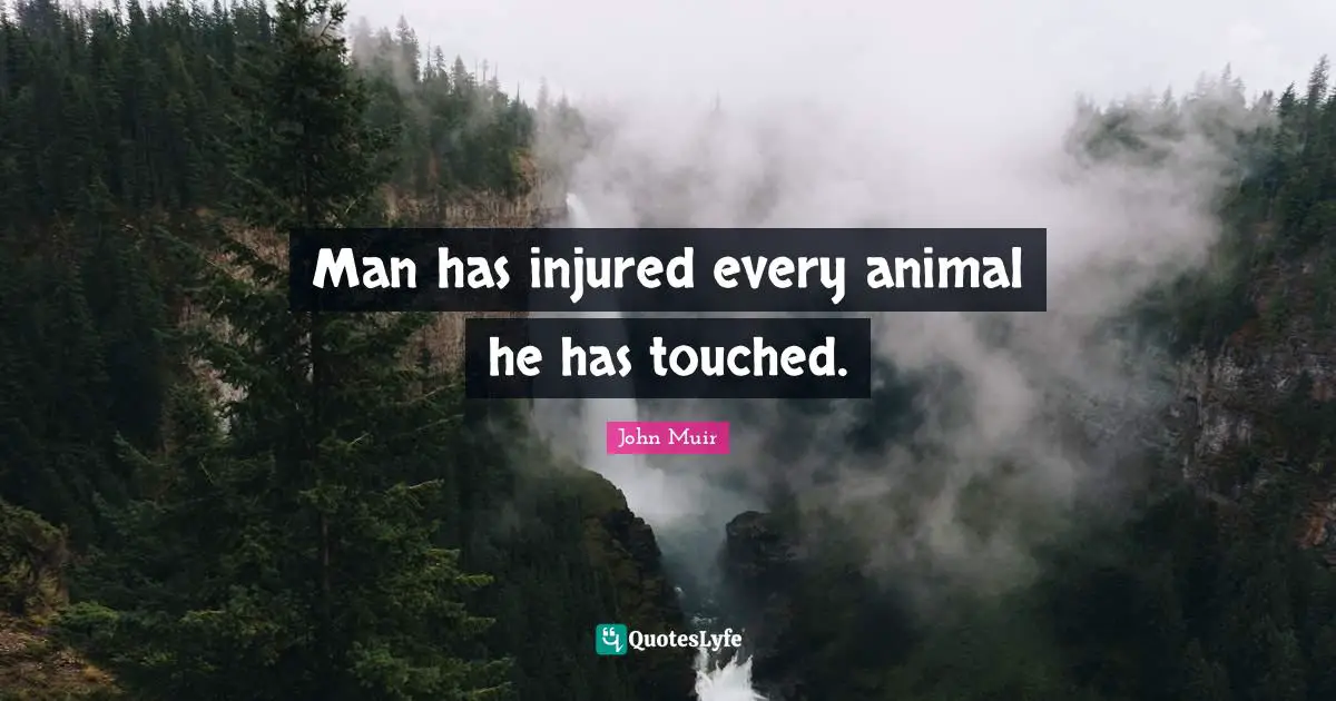 Man has injured every animal he has touched.