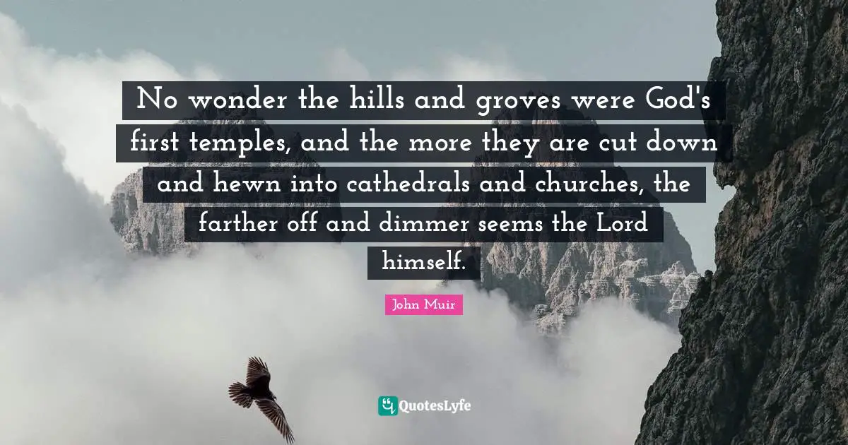 No wonder the hills and groves were God's first temples, and the more they are cut down and hewn into cathedrals and churches, the farther off and dimmer seems the Lord himself.