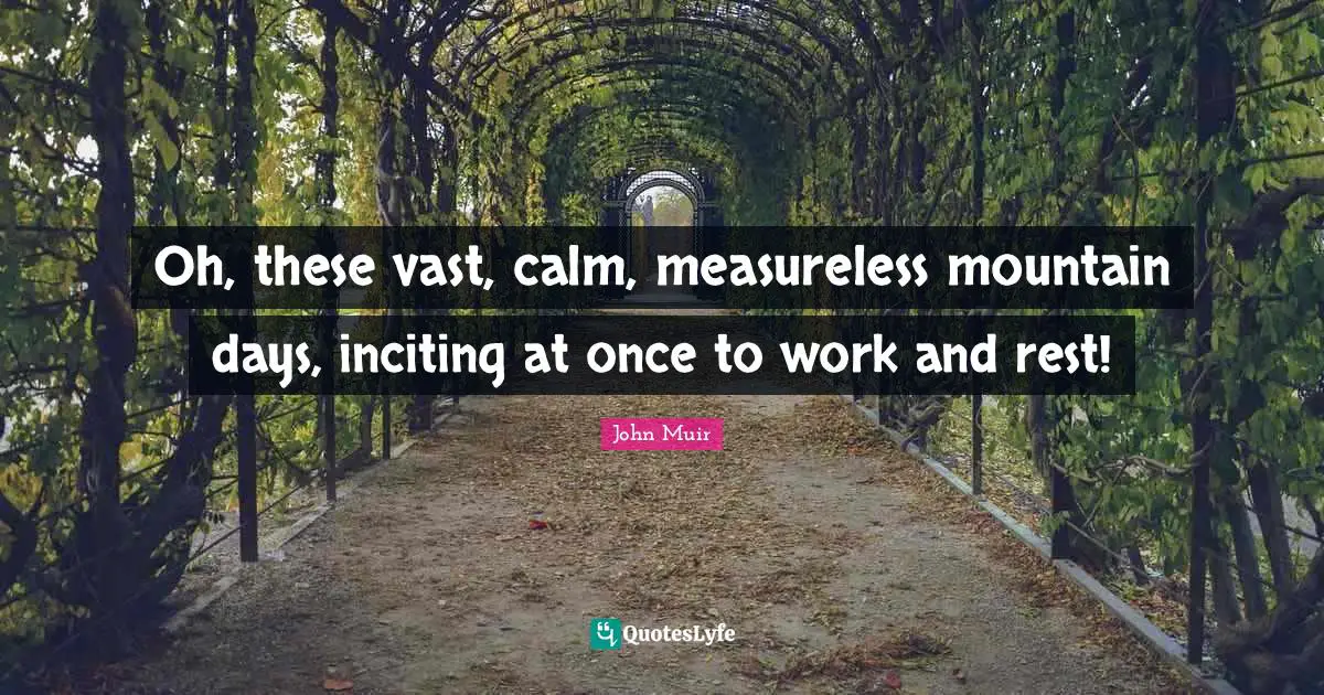 Mountain Ranges Quotes: "Oh, these vast, calm, measureless mountain days, inciting at once to work and rest!"