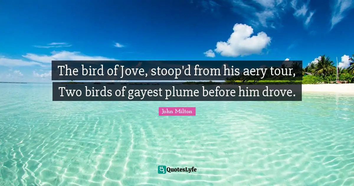 The bird of Jove, stoop'd from his aery tour, Two birds of gayest plume before him drove.