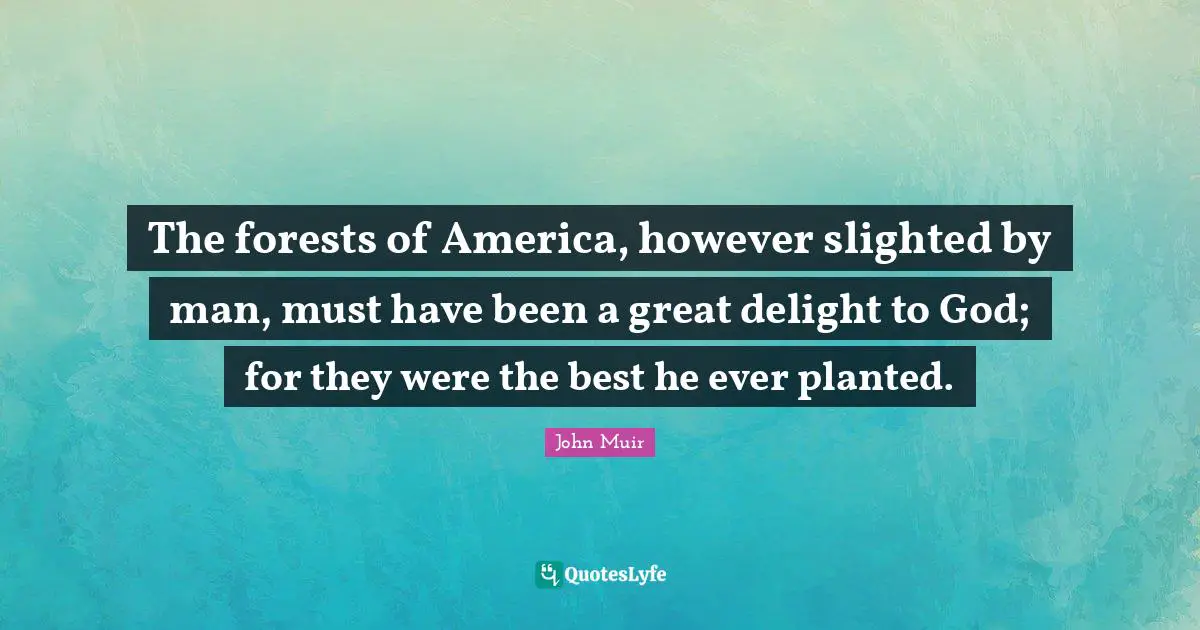 The forests of America, however slighted by man, must have been a great delight to God; for they were the best he ever planted.