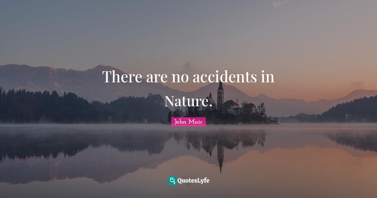 There are no accidents in Nature.