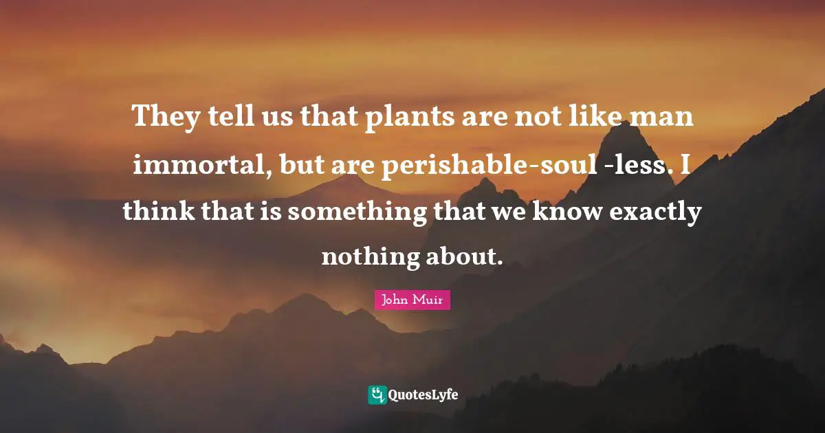 They tell us that plants are not like man immortal, but are perishable-soul -less. I think that is something that we know exactly nothing about.