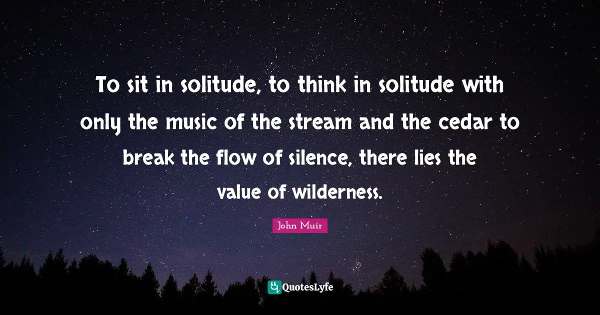 Wilderness Quotes: "To sit in solitude, to think in solitude with only the music of the stream and the cedar to break the flow of silence, there lies the value of wilderness."