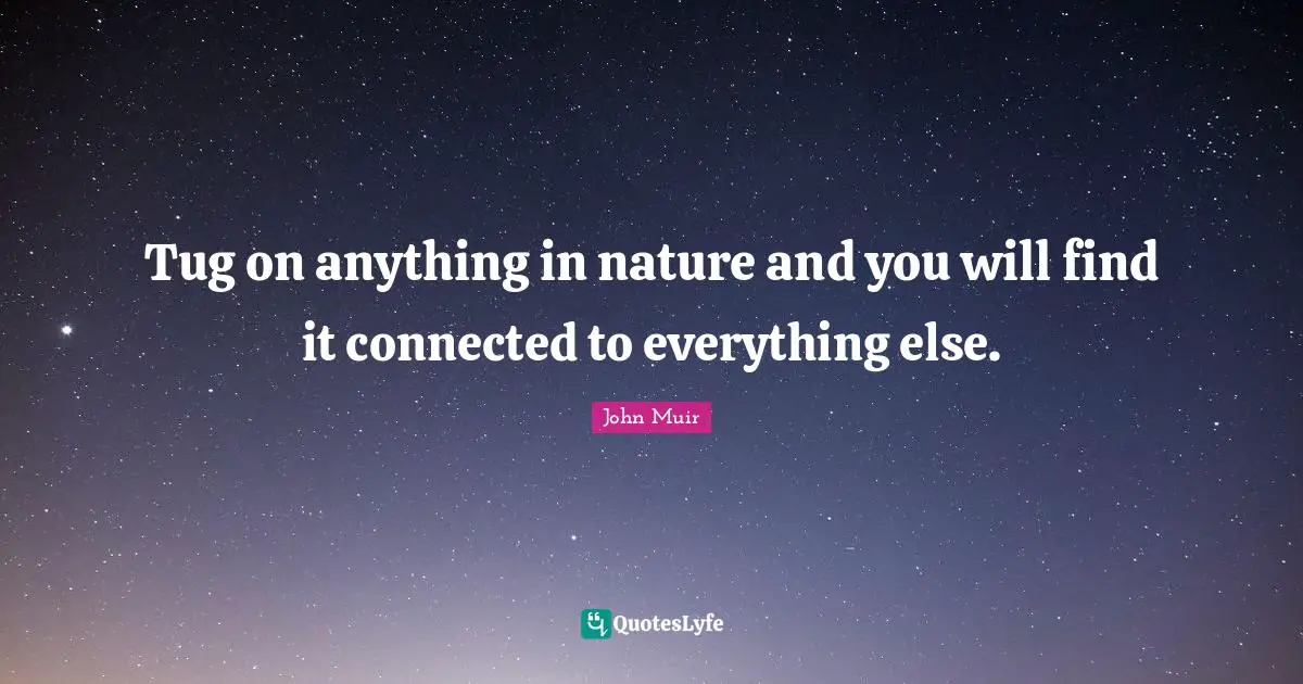 Tugging Quotes: "Tug on anything in nature and you will find it connected to everything else."