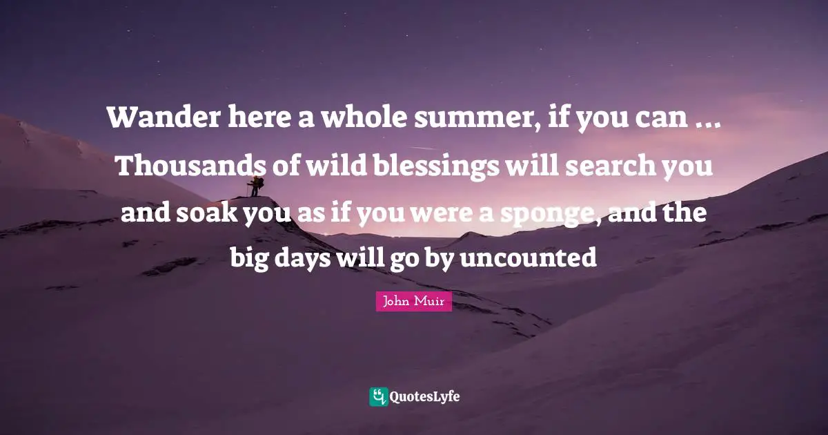 Wander here a whole summer, if you can ... Thousands of wild blessings will search you and soak you as if you were a sponge, and the big days will go by uncounted