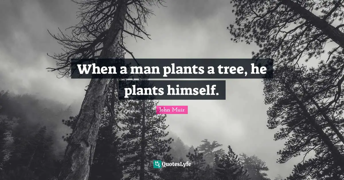 When a man plants a tree, he plants himself.
