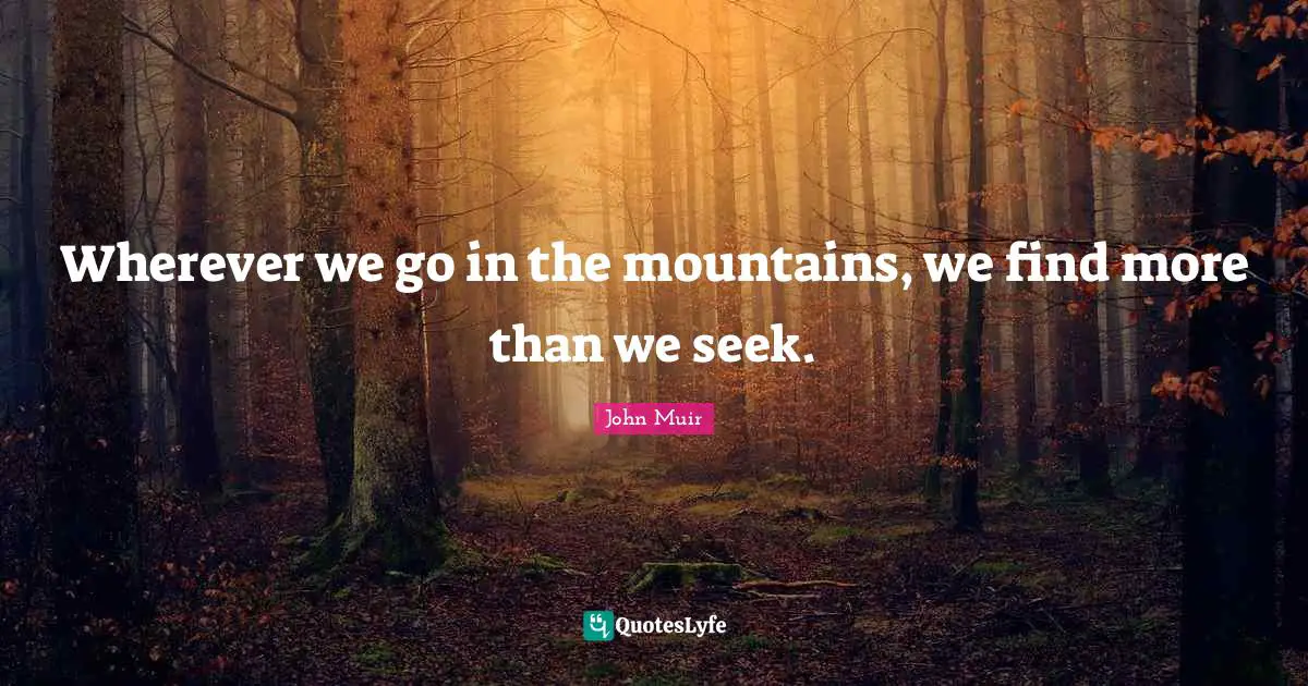 Wherever we go in the mountains, we find more than we seek.