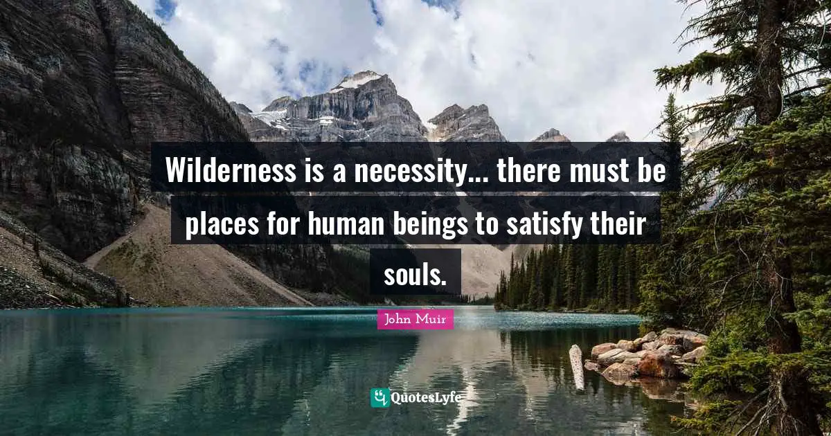 Human Beings Quotes: "Wilderness is a necessity... there must be places for human beings to satisfy their souls."