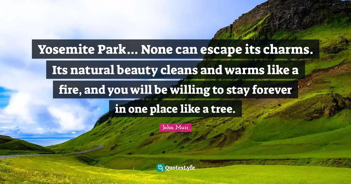Yosemite Park... None can escape its charms. Its natural beauty cleans and warms like a fire, and you will be willing to stay forever in one place like a tree.