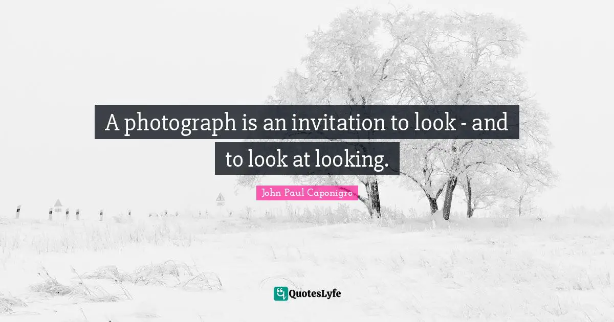 A photograph is an invitation to look - and to look at looking.