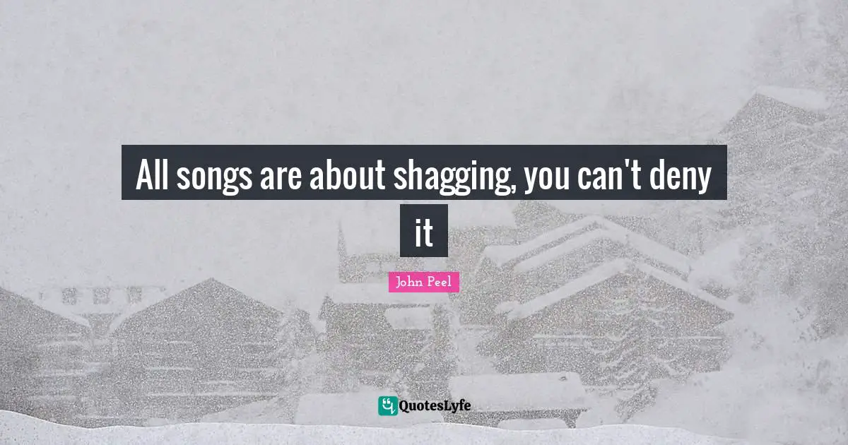 All songs are about shagging, you can't deny it