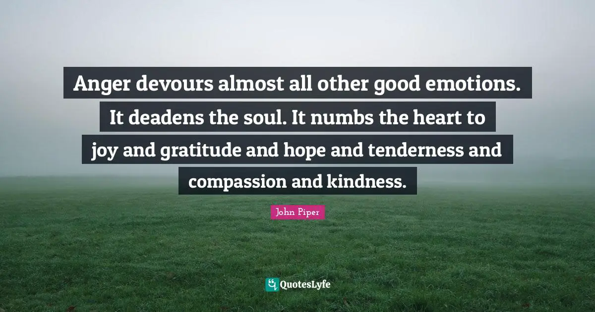 Anger devours almost all other good emotions. It deadens the soul. It numbs the heart to joy and gratitude and hope and tenderness and compassion and kindness.