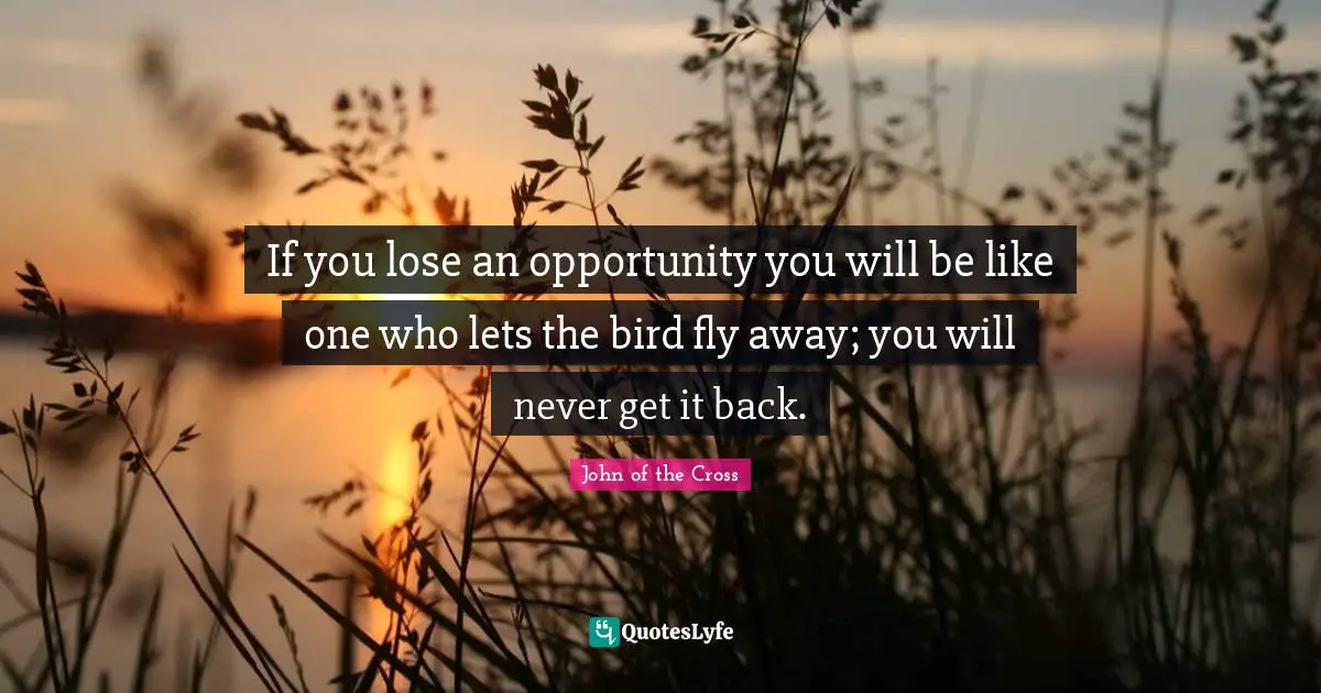 If you lose an opportunity you will be like one who lets the bird fly away; you will never get it back.