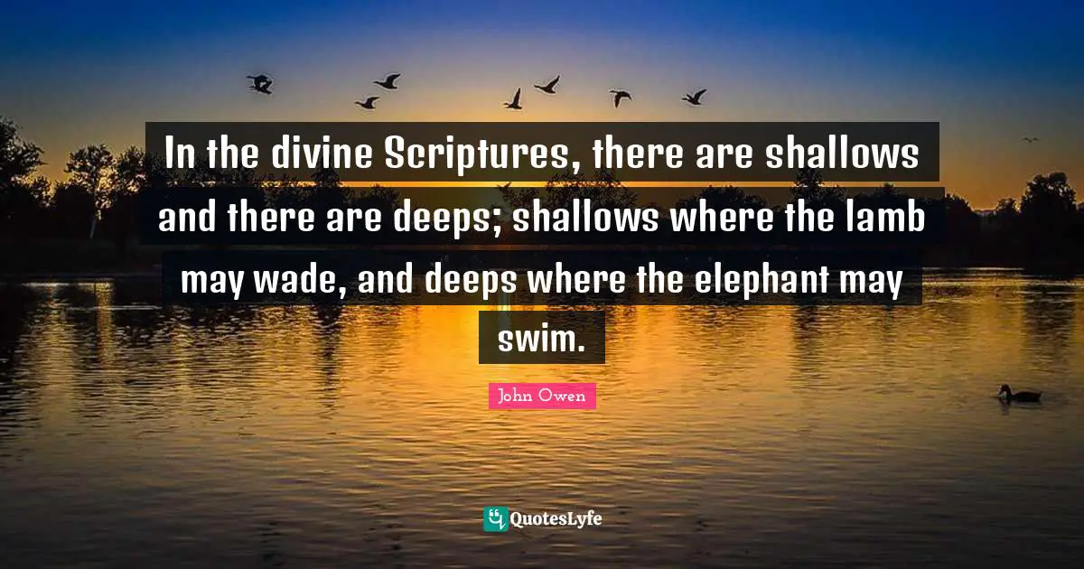 In the divine Scriptures, there are shallows and there are deeps; shallows where the lamb may wade, and deeps where the elephant may swim.