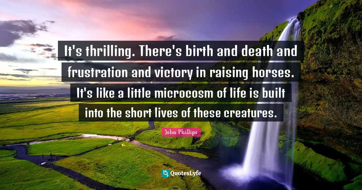 It's thrilling. There's birth and death and frustration and victory in raising horses. It's like a little microcosm of life is built into the short lives of these creatures.