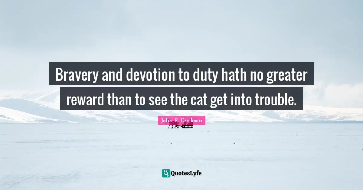 Bravery and devotion to duty hath no greater reward than to see the cat get into trouble.