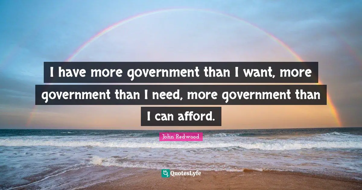 I have more government than I want, more government than I need, more government than I can afford.