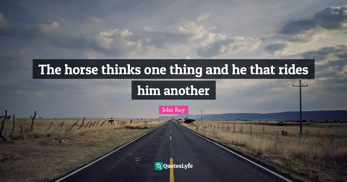 The horse thinks one thing and he that rides him another