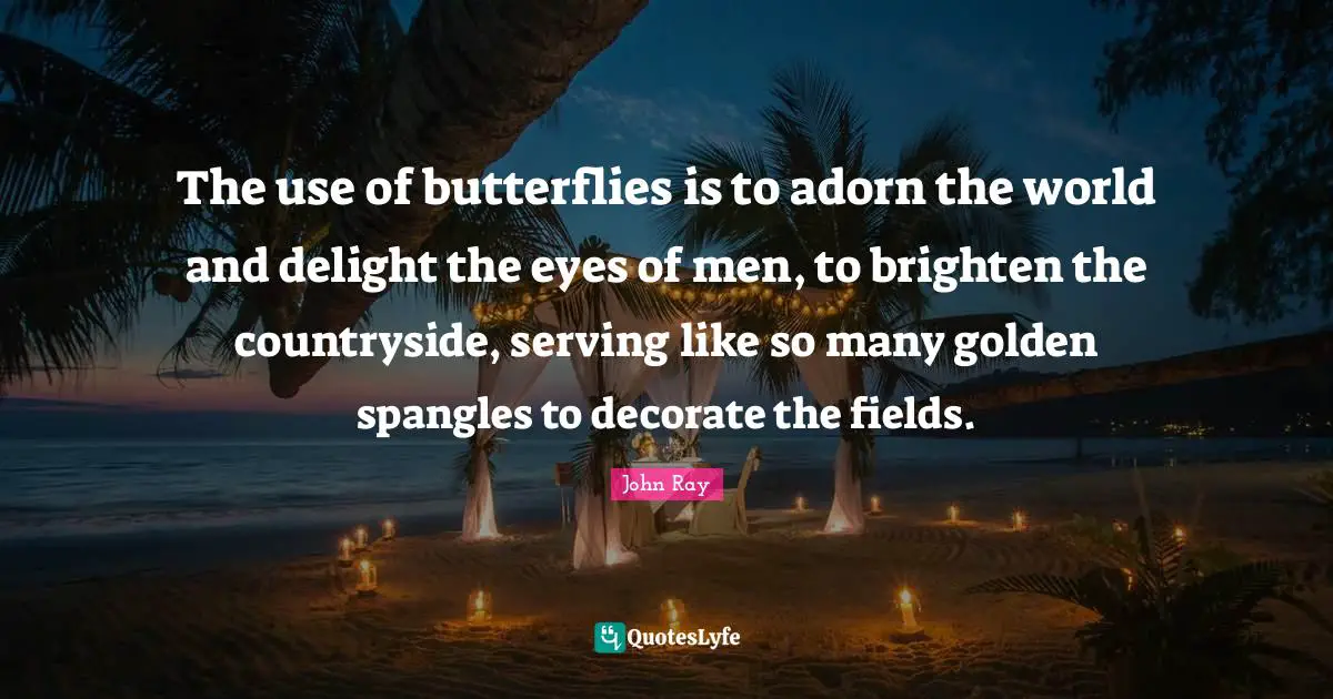 The use of butterflies is to adorn the world and delight the eyes of men, to brighten the countryside, serving like so many golden spangles to decorate the fields.