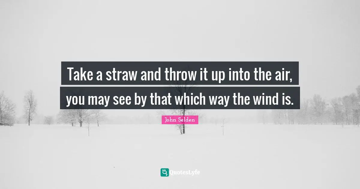 Take a straw and throw it up into the air, you may see by that which way the wind is.