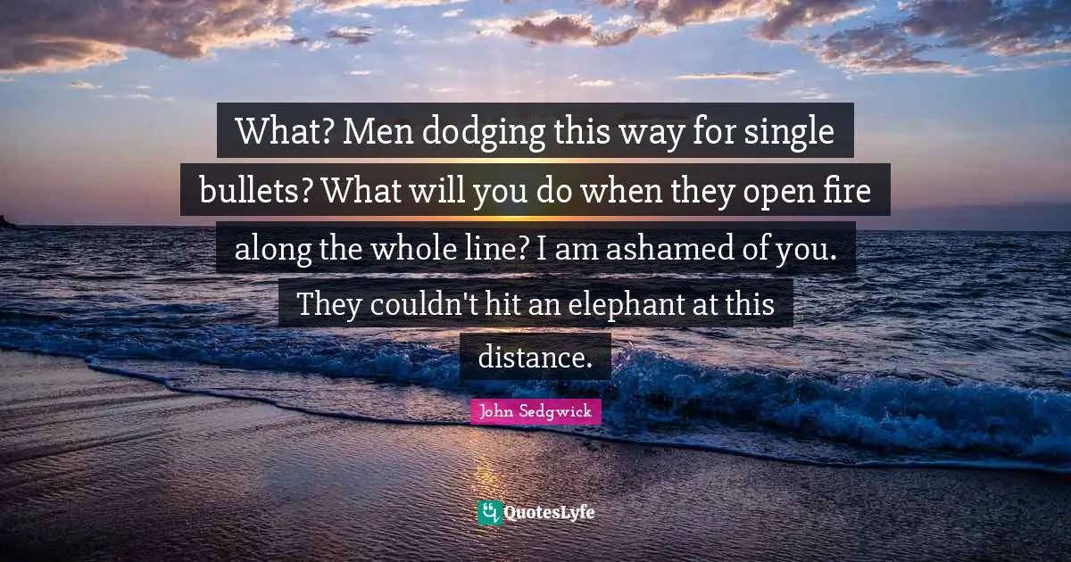 What? Men dodging this way for single bullets? What will you do when they open fire along the whole line? I am ashamed of you. They couldn't hit an elephant at this distance.