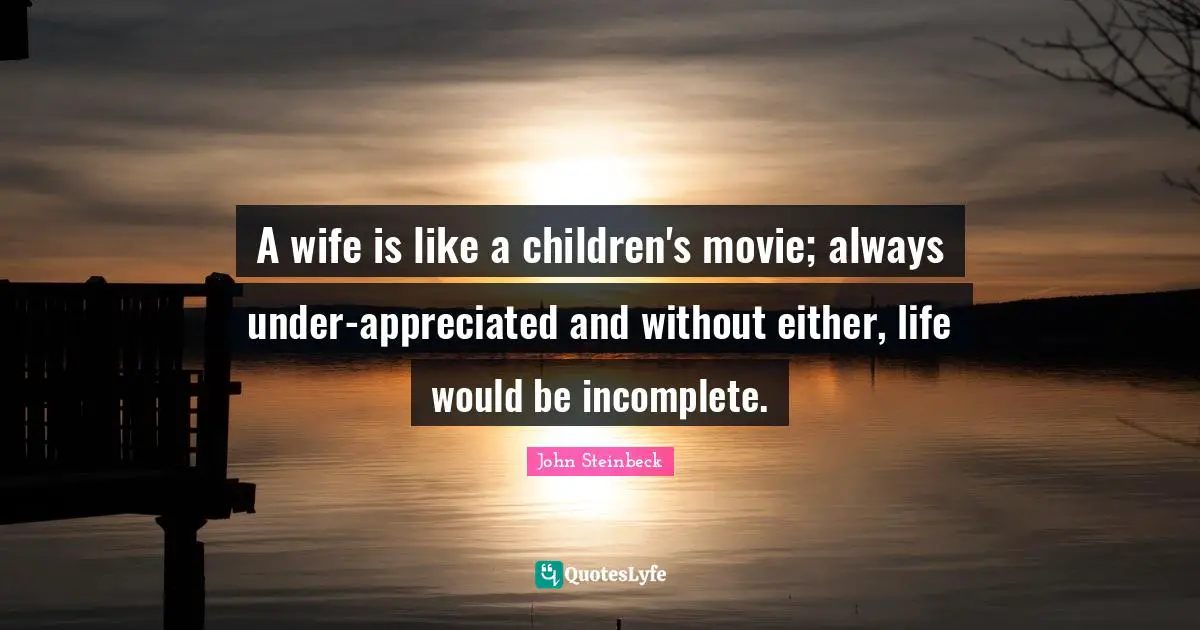 A wife is like a children's movie; always under-appreciated and without either, life would be incomplete.