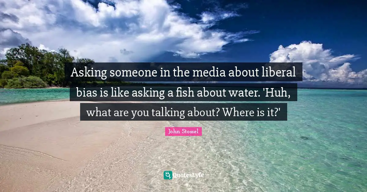 Asking someone in the media about liberal bias is like asking a fish about water. 'Huh, what are you talking about? Where is it?'
