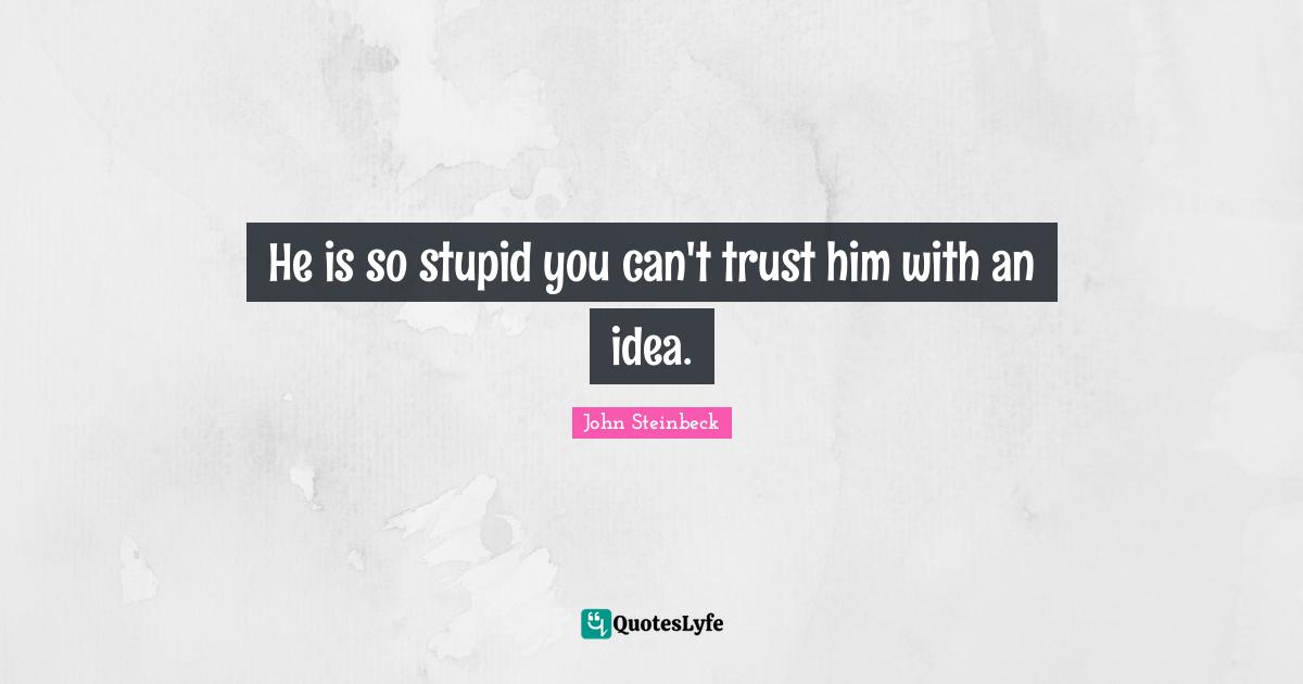 He is so stupid you can't trust him with an idea.