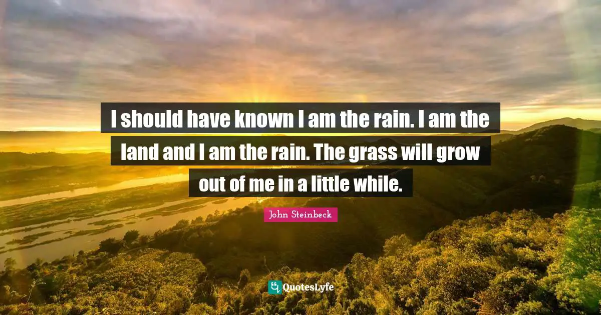 I should have known I am the rain. I am the land and I am the rain. The grass will grow out of me in a little while.