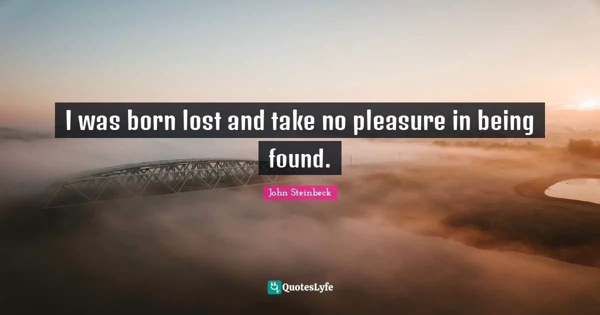 Travels Quotes: "I was born lost and take no pleasure in being found."