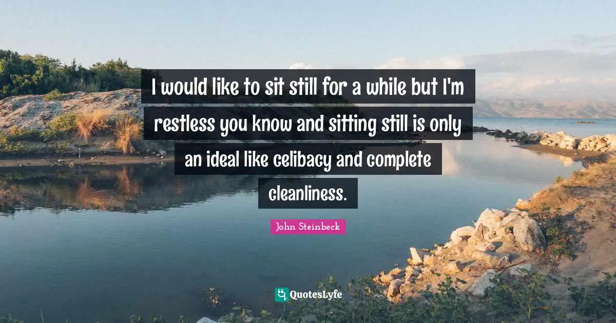 I would like to sit still for a while but I'm restless you know and sitting still is only an ideal like celibacy and complete cleanliness.