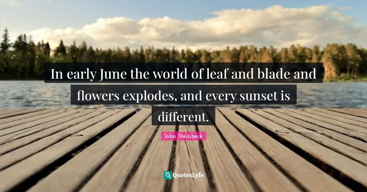 June Quotes: "In early June the world of leaf and blade and flowers explodes, and every sunset is different."