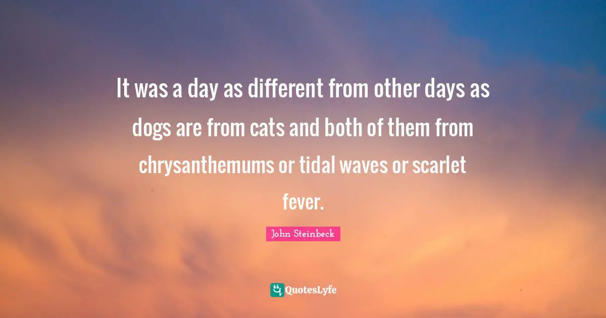 Fever Quotes: "It was a day as different from other days as dogs are from cats and both of them from chrysanthemums or tidal waves or scarlet fever."